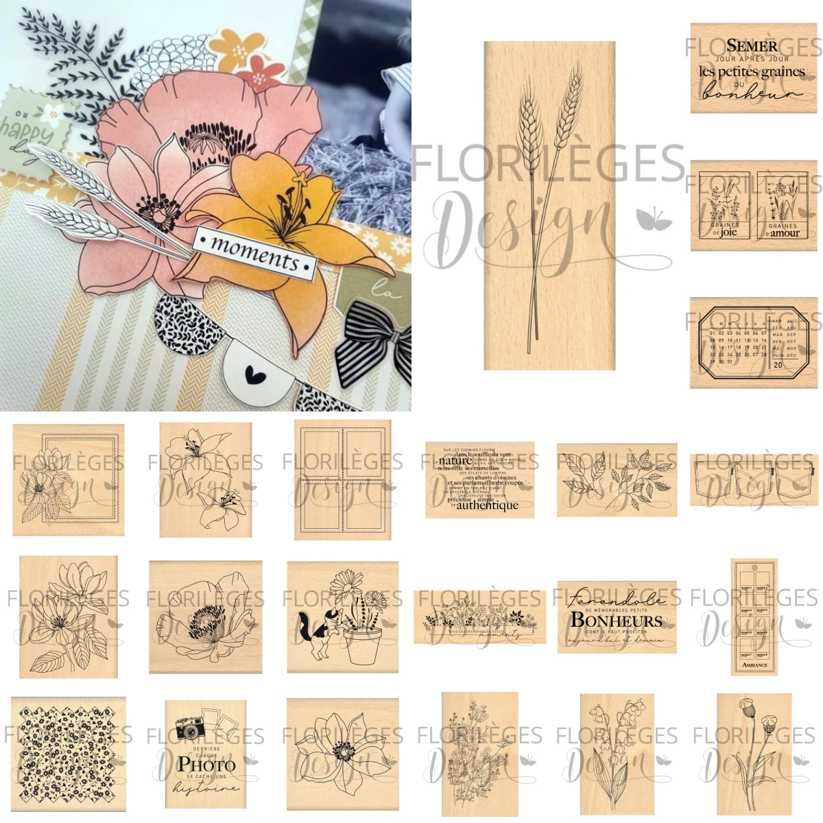 الفرنسية شفافة واضحة سيليكون ت - مراجعة Clear Silicone Stamps For Card Making وسعره